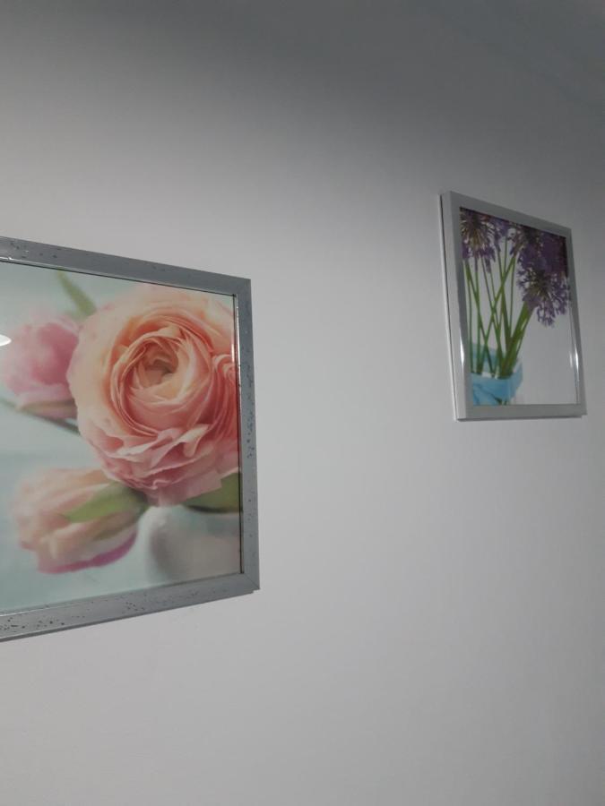 Apartamento Piquinho Machico  Eksteriør billede