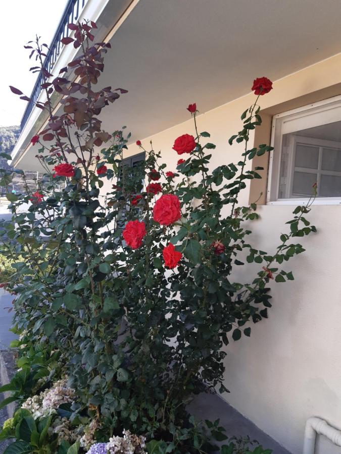 Apartamento Piquinho Machico  Eksteriør billede